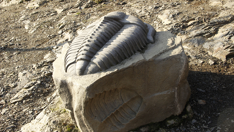 Na výlet po stopách trilobita